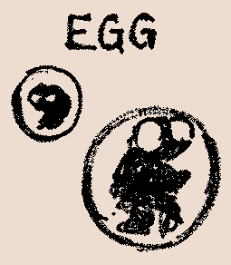 A crudely drawn image of two moer eggs (one is smaller than the other). The eggs resemble a frog egg, having a translucent jelly-like exterior with the embryo and it's big ol' eyes visible enough to distinguish.